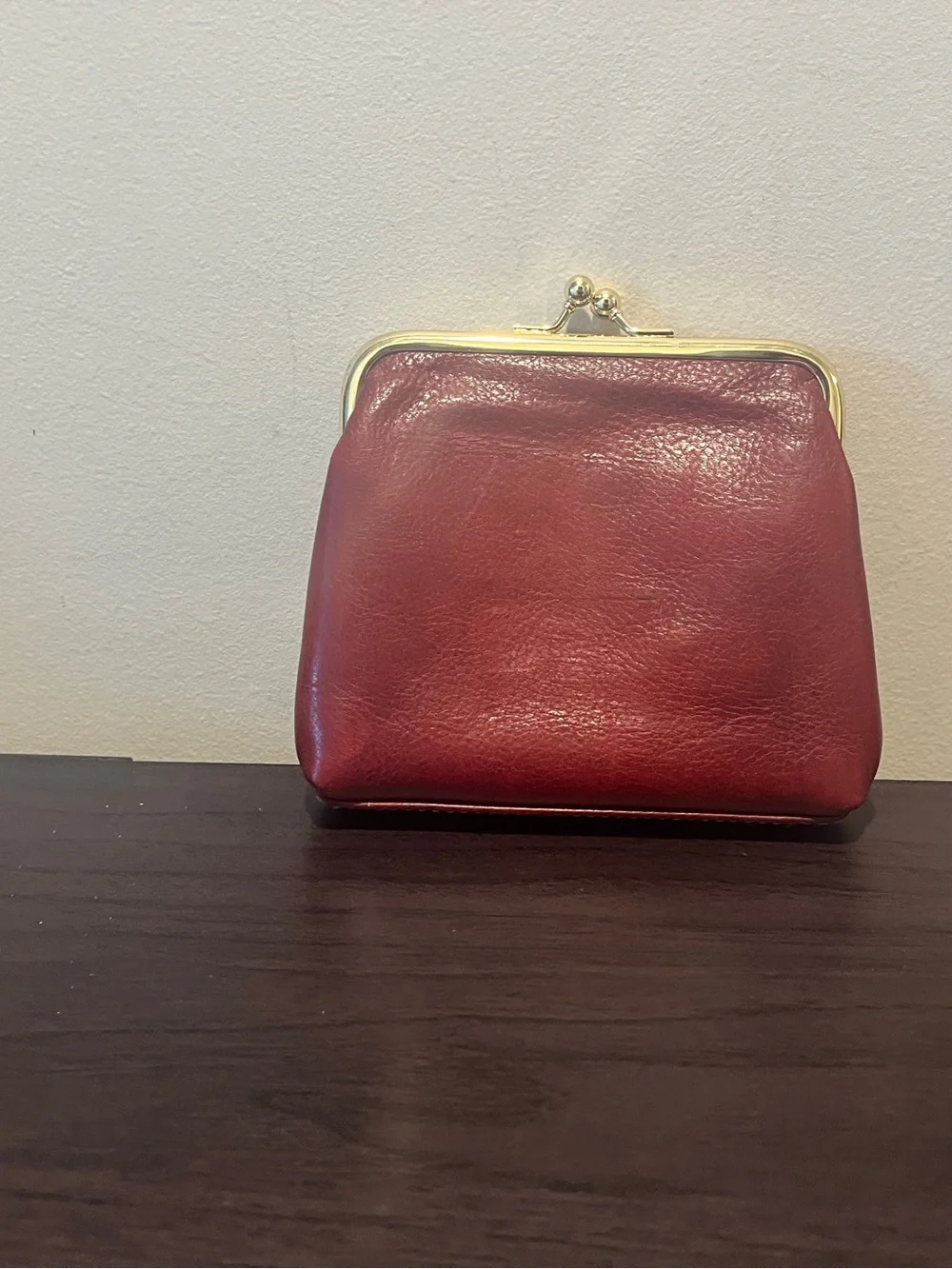 Dooney & Bourke Bordeaux Florentine Kiss Lock “Large Framed Purse”